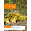 Podhubie Mycélium hustá zelená 0,01 kg Podhubie Mycélium hustá zelená 0,01 kg