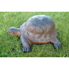 Terč 3D korytnačka wild life (6188) Terč 3D korytnačka wild life (6188)