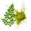 Moringa olejodarná mletá - 1kg Moringa olejodarná mletá - 1kg