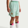 Nike Kids' France FIFA World Cup 2026™ Football Shorts Mint/White 13 rokov Nike Kids' France FIFA World Cup 2026™ Football Shorts Mint/White 13 rokov
