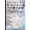 Slepičí polévka pro duši: O andělech mezi námi - Jack Canfield Slepičí polévka pro duši: O andělech mezi námi - Jack Canfield