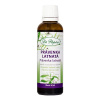Dr. Popov Právenka latnatá originálne bylinné kvapky 50 ml Dr. Popov Právenka latnatá originálne bylinné kvapky 50 ml