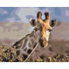 Vymalujsisam.sk Maľovanie podľa čísiel - Safari - Žirafa Veľkosť: 40x50cm, Rám: Bez rámu, iba zrolované plátno Vymalujsisam.sk Maľovanie podľa čísiel - Safari - Žirafa Veľkosť: 40x50cm, Rám: Bez rámu, iba zrolované plátno