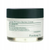 Pyunkang Yul Calming Moisture Barrier Cream 50 ml Pyunkang Yul Calming Moisture Barrier Cream 50 ml