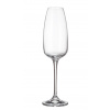 Crystal Bohemia Crystalite Bohemia ANSER poháre na šampanské 290 ml / 6 ks Crystal Bohemia Crystalite Bohemia ANSER poháre na šampanské 290 ml / 6 ks