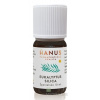 Hanus - Bylinné prípravky HANUS SILICA EUKALYPTUS ole 1x10 ml Hanus - Bylinné prípravky HANUS SILICA EUKALYPTUS ole 1x10 ml