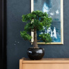 Prolenta Maison Exclusive Umelý fikus mini bonsaj zelený 47 cm 420006