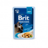 Brit Premium Cat Delicate Fillets in Gravy with Chicken 85 g Brit Premium Cat Delicate Fillets in Gravy with Chicken 85 g