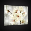 Obraz na plátne obdĺžnik - OB0901 - Biely kvet 60cm x 40cm - O4 Obraz na plátne obdĺžnik - OB0901 - Biely kvet 60cm x 40cm - O4