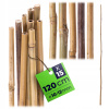 Tyčka Kadax bambus 120 cm x 12 mm 15 ks Tyčka Kadax bambus 120 cm x 12 mm 15 ks