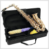 Saxofón Eb-Alt SP-30 zlatý Dimavery