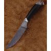 Nord Crown Sokol Nord Crown Sokol