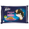 FELIX Fantastic JUNIOR kapsičky - kura / losos v želé 4x85g FELIX Fantastic JUNIOR kapsičky - kura / losos v želé 4x85g