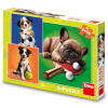 Dino Psí Sportovci 3x55 Puzzle Dino Psí Sportovci 3x55 Puzzle