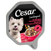 Megabalenie Cesar mištičky 28 x 150 g - vidiecke ragú s hovädzím, cestovinou a mrkvou Megabalenie Cesar mištičky 28 x 150 g - vidiecke ragú s hovädzím, cestovinou a mrkvou