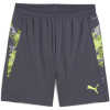 Puma IndividualCUP Football Shorts Adults Galactic Grey S Puma IndividualCUP Football Shorts Adults Galactic Grey S