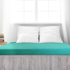 4Home froté prestieradlo Ideál zelený tyrkys, 60 x 120 cm 4Home froté prestieradlo Ideál zelený tyrkys, 60 x 120 cm