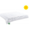 Brotex prikrývka Aloe Vera letná 600g 200x200 Brotex prikrývka Aloe Vera letná 600g 200x200