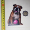 Hravý pes BullDog - Drevená magnetka - CoolArts Výška magnetky: 10 cm Hravý pes BullDog - Drevená magnetka - CoolArts Výška magnetky: 10 cm