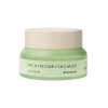 Mizon Denní krém Phyto Plump Collagen (Day Cream) 50 ml Mizon Denní krém Phyto Plump Collagen (Day Cream) 50 ml
