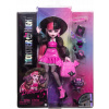 Mattel Monster High Bábika Draculaura 29 cm (Bábika Mattel Monster High Draculaura HRP64) Mattel Monster High Bábika Draculaura 29 cm (Bábika Mattel Monster High Draculaura HRP64)