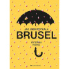 Jak jsem potkala Brusel Jak jsem potkala Brusel