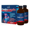 Adelle Davis CondroComplex lipozomalna kĺbová výživa 2x500 ml (1000 ml) Adelle Davis CondroComplex lipozomalna kĺbová výživa 2x500 ml (1000 ml)