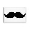 Fotoobraz 90x60 cm stredný moustache Fotoobraz 90x60 cm stredný moustache