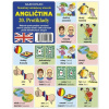 Angličtina 20. Protiklady Angličtina 20. Protiklady