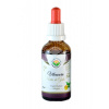 Salvia Paradise Vilcacora bezalkoholová tinktúra 50 ml Salvia Paradise Vilcacora bezalkoholová tinktúra 50 ml