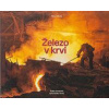 Železo v krvi - Mácha Viktor Železo v krvi - Mácha Viktor