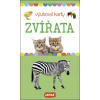 Zvířata výukové karty Zvířata výukové karty
