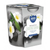 Aura Bispol Relaxation vonná sviečka 100g Aura Bispol Relaxation vonná sviečka 100g