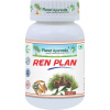 Planet Ayurveda Ren Plan - Obličky, Močové cesty 500mg 60 kapsúl Planet Ayurveda Ren Plan - Obličky, Močové cesty 500mg 60 kapsúl