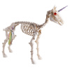 Halloween kostra jednorožce, 60 cm Halloween kostra jednorožce, 60 cm