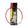 Obojok Dog Fantasy LED nylon červený 65 cm svietiaci Obojok Dog Fantasy LED nylon červený 65 cm svietiaci