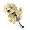 Rappa Plyšový pes zlatý retriever stojaci s vodítkom 25 cm ECO-FRIENDLY Rappa Plyšový pes zlatý retriever stojaci s vodítkom 25 cm ECO-FRIENDLY