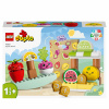 LEGO Duplo Bio trh 10983 (LEGO Duplo 10983 Bio trh) LEGO Duplo Bio trh 10983 (LEGO Duplo 10983 Bio trh)