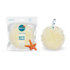 Kúpeľňová špongia stredná Balmy Kúpeľňová špongia stredná Balmy