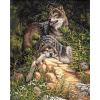 Norimpex Diamantové maľovanie Odpočinok v lese 40x30cm Norimpex Diamantové maľovanie Odpočinok v lese 40x30cm
