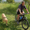 DogRunner Držiak na bicykel pre psov s pružinou DogRunner Držiak na bicykel pre psov s pružinou