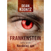 Frankenstein - Nevděčný syn - kniha první - Dean Koontz Frankenstein - Nevděčný syn - kniha první - Dean Koontz