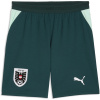 Puma Mens Austria Away Short World Cup 2026™ Green/Mint S Puma Mens Austria Away Short World Cup 2026™ Green/Mint S