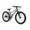 Dětské kolo Rascal 20 Titanium Dětské kolo Rascal 20 Titanium