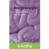 E-kniha Neurochirurgie - Vladimír Přibáň E-kniha Neurochirurgie - Vladimír Přibáň
