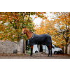 HORSEWARE Deka odpocovacia Autumn Horseware, black/aqua Dĺžka chrbta: 115 cm HORSEWARE Deka odpocovacia Autumn Horseware, black/aqua Dĺžka chrbta: 115 cm