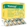Yomogi cps.dur.10 x 250mg Yomogi cps.dur.10 x 250mg