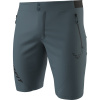 Kraťasy DYNAFIT Transalper 2 Light DST Shorts M cinder M Kraťasy DYNAFIT Transalper 2 Light DST Shorts M cinder M