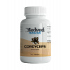 Medveď natural CORDYCEPS 60 kapsúl Medveď natural CORDYCEPS 60 kapsúl
