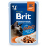 Kapsička Brit Premium Cat Delicate Fillets in Gravy with Turkey 85 g Kapsička Brit Premium Cat Delicate Fillets in Gravy with Turkey 85 g